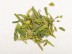 Xi Hu Long Jing „AA” (Smocza Studnia), Zhejiang, 2025