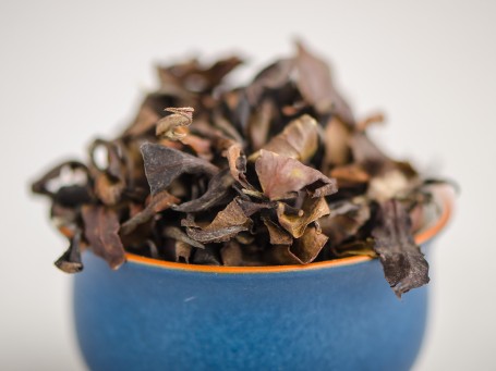 Gu Shu Bai Cha „Dzika biel”, z 500-letnich drzew, 2024.