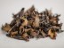 Gu Shu Bai Cha „Dzika biel”, z 500-letnich drzew, 2024.