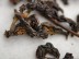 GABA Minjian Organic
