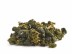Li Shan Oolong &quot;AAA&quot; (Oolong z Gór Gruszowych)